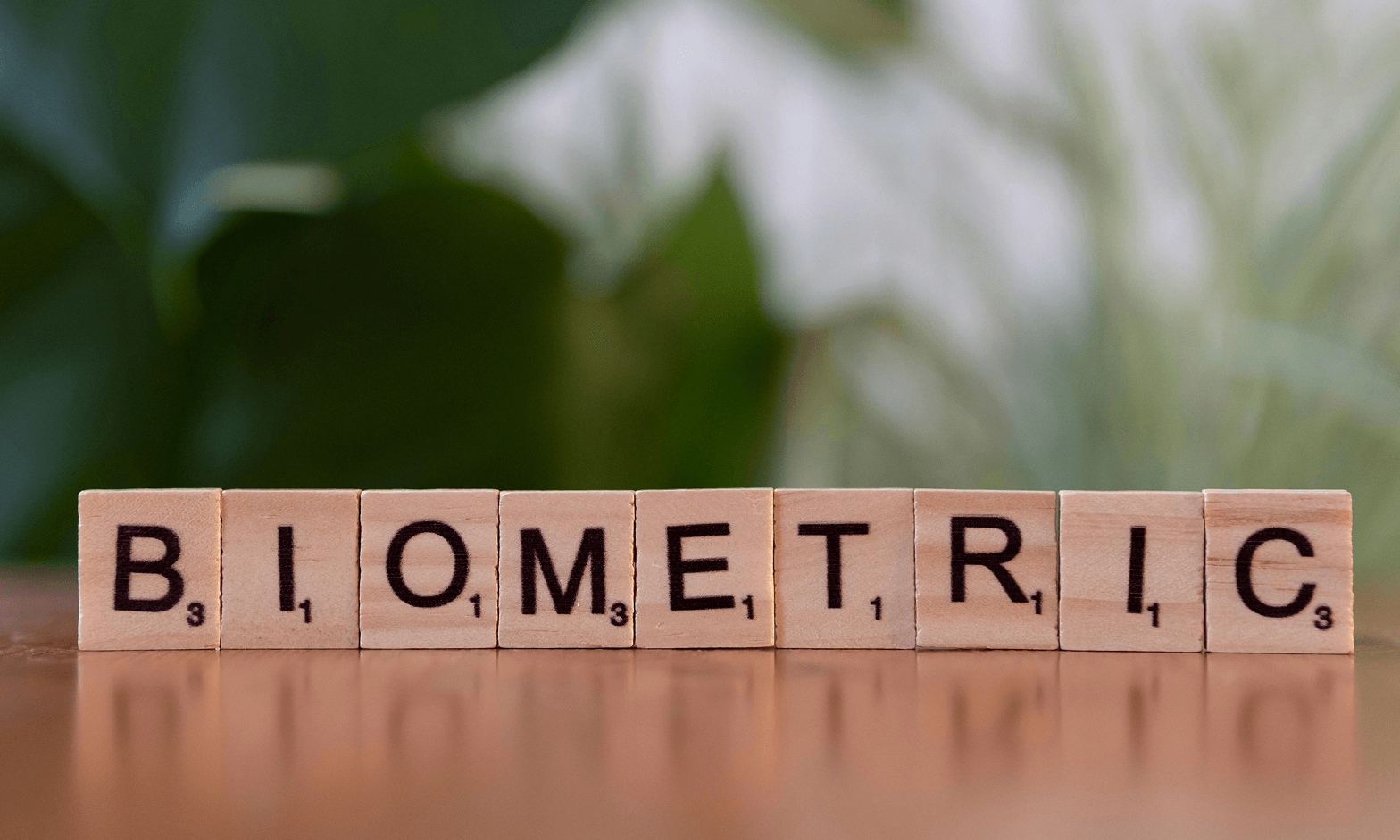 header_image